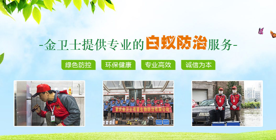 丑陋的蟑螂看起來很可怕。如何解決這種情況？